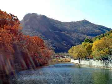 管家婆黑白马报图库，在盛夏等待